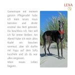 Lexa_IMG-20240215-WA0019