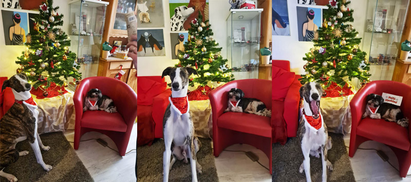 Familie Karadeniz Familie Karadeniz