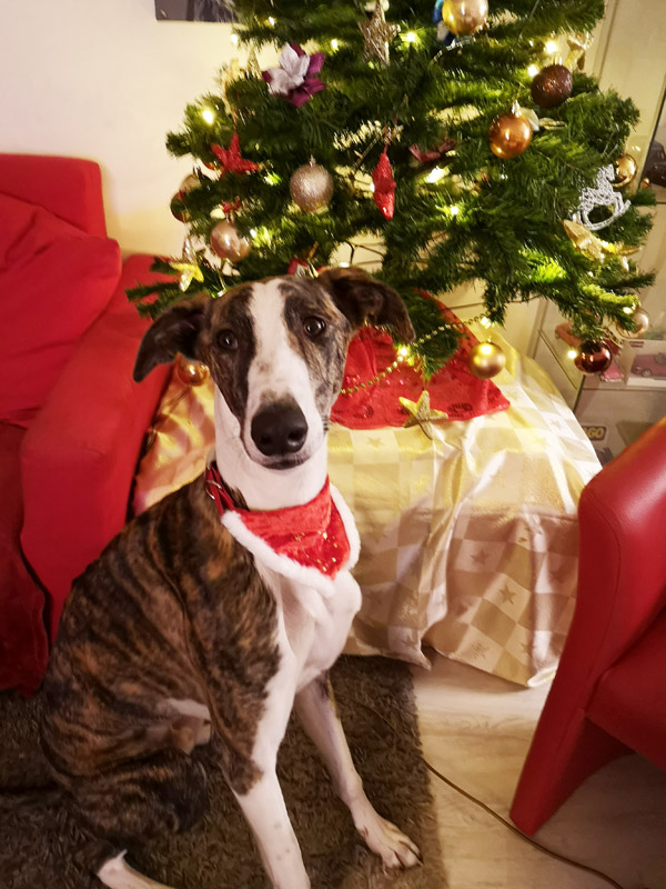 Familie Karadeniz Familie Karadeniz