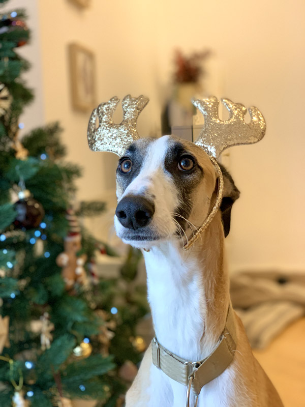 George (eheml. Whisky) George (eheml. Whisky)