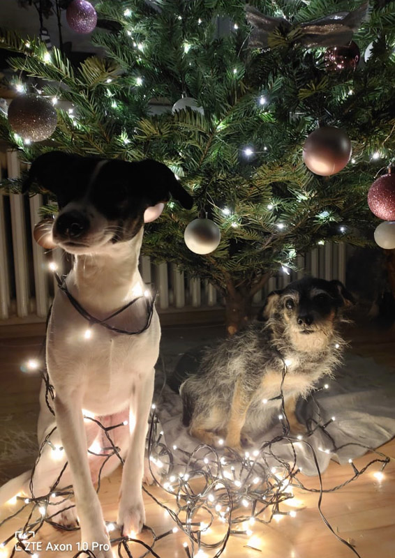 Hope (früher Lola) mit Omi Lilly Hope (früher Lola) mit Omi Lilly