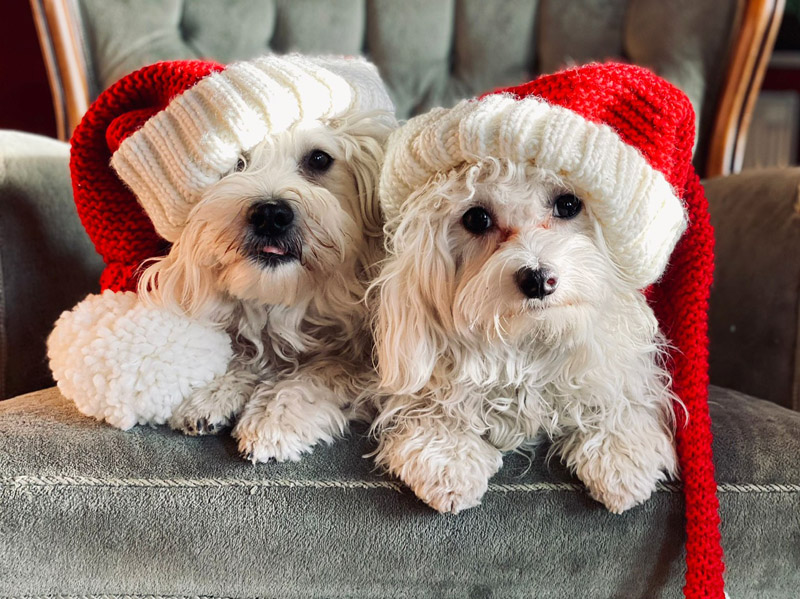 Ludwig & Enno Ludwig & Enno