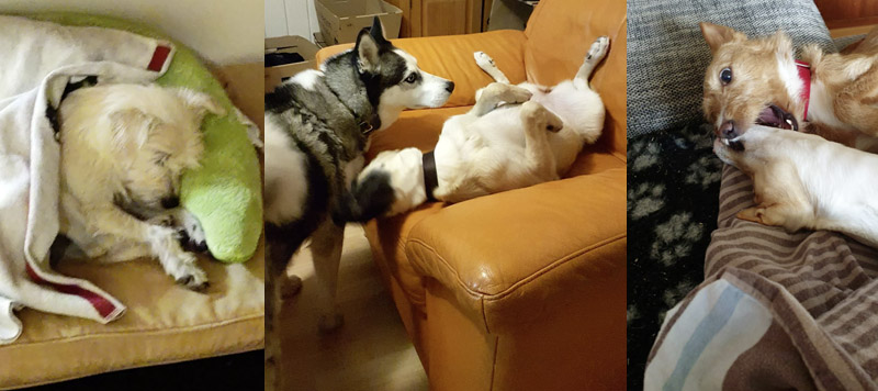 Britta, Jade und Maga Britta, Jade und Maga