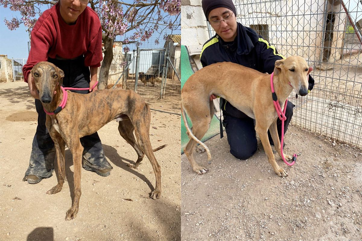 Sami und Ana Sami und Ana