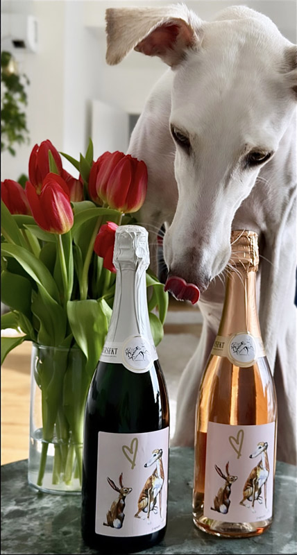 Exklusiver Galgosekt Exklusiver Galgosekt