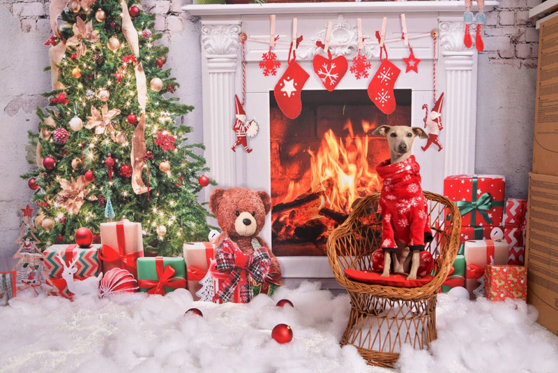 Unico Power Annaperla Unico Power Annaperla