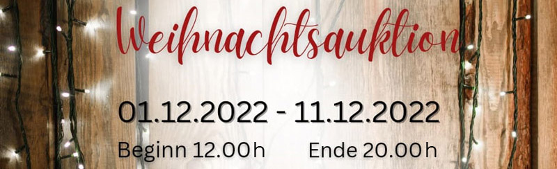 Weihnachts-Facebookauktion