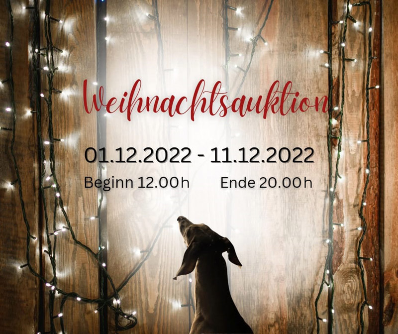 Weihnachtsauktion 2022