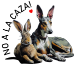 A-S-P-A- friends e-V- Galgo und Hase_StreetArt_Nr22b_web