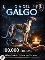 Dia del Galgo 2026-02-01 at 12-12-17