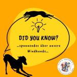 Did you know_Intro_2023-02-24-16-05-43neu