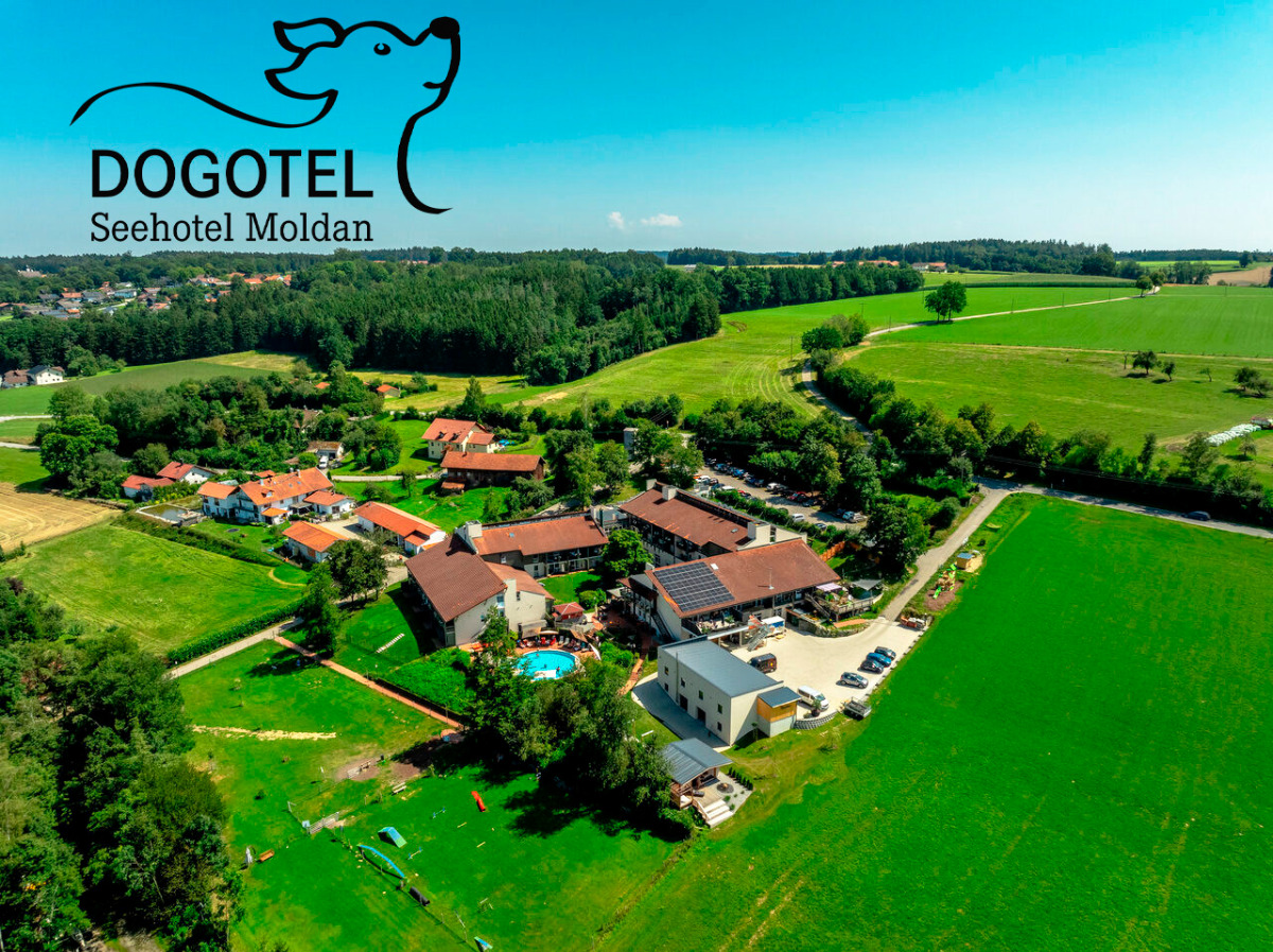 Dogotel Seehotel Moldan in Postmünster_intro