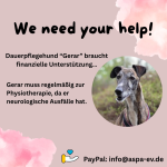 Gerar_We need your help copy