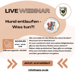 News_01-03-25_Webinar Online