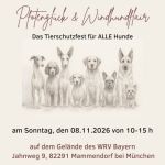 PFOTENGLÜCK und WINDHUNDFLAIR_n