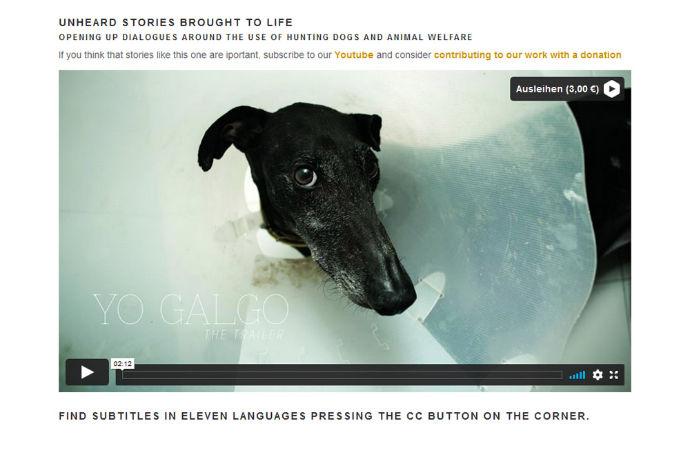 Der Galgo Espanol Aspa