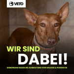veto-jagdhunde-unterstuetzermaterial-socialmedia-facebook-wirsinddabei