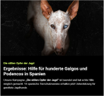 VETO_2026-03-06 at 13-45-35 Das Ergebnis ist da!