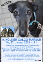 Der Kölner Galgo-Marsch 2024