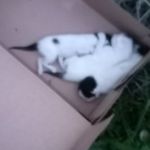 14-03-26_650374406_n