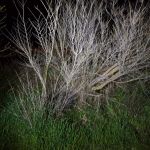 14-03-26_651007178_n