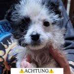 14-03-26_651456178_bn