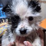 14-03-26_651801702_n