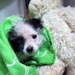 14-03-26_652396499_n