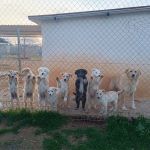 8Geschwistern_2026-02-16 at 13-59-23