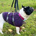 aelia_8cd74d3e-fc51-4c77-81bb-0c2bbf4e9526