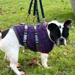 aelia_90182630-3378-401e-8ca3-fc2220bcc44e