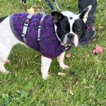 aelia_b62d3873-0ef3-4039-8195-95c049f65bb5