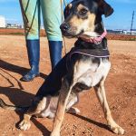 Akab_IMG_20260110_124920