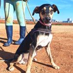 Akab_IMG_20260110_124921