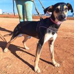 Akab_IMG_20260110_1249311