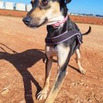 Akab_IMG_20260110_125013