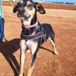 Akab_IMG_20260110_125027