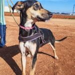 Akab_IMG_20260110_125028_1