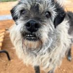 Alai_IMG_6182