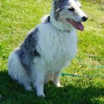 Alea_2026-04-22 at 16-57-28