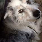 Alea_IMG-20260406-WA0051