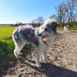 Alea_IMG_20260407_091516