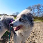 Alea_IMG_20260407_091525