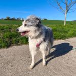 Alea_IMG_20260407_092640