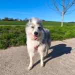 Alea_IMG_20260407_092653