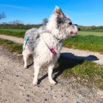 Alea_IMG_20260407_093401