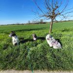 Alea_IMG_20260407_093800