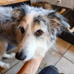 Alea_IMG_20260407_155341