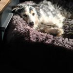 Alea_IMG_20260407_181604