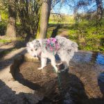 Alea_IMG_20260408_165350